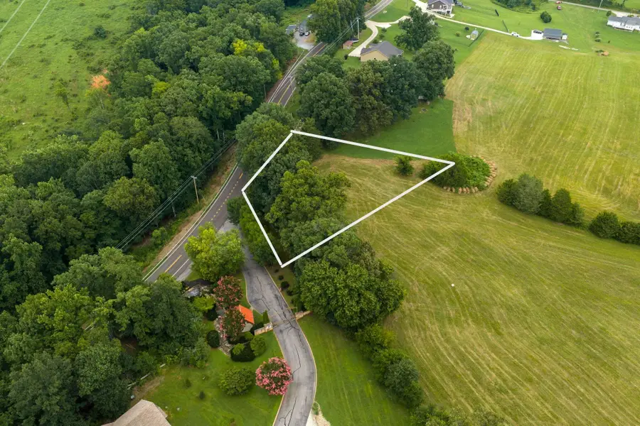 Lot 1 Lakeshore, Rutledge, TN 37861 - #2