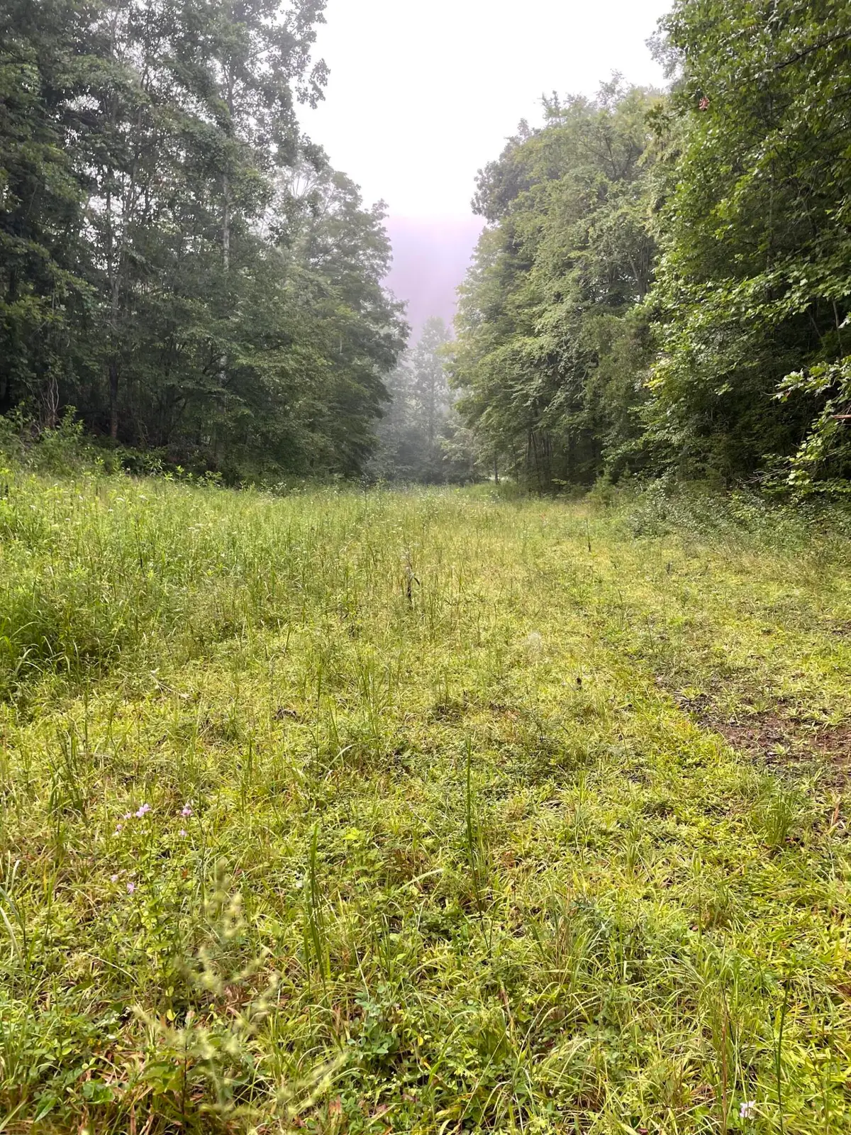 TBD Bullen Valley Road, Thorn Hill, TN 37881 - #1