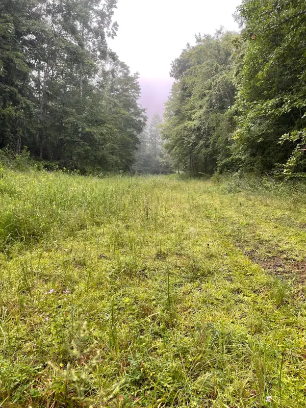 TBD Bullen Valley Road, Thorn Hill, TN 37881