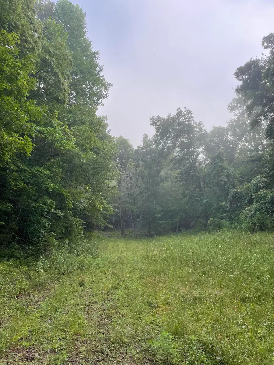 TBD Bullen Valley Road, Thorn Hill, TN 37881 - #2