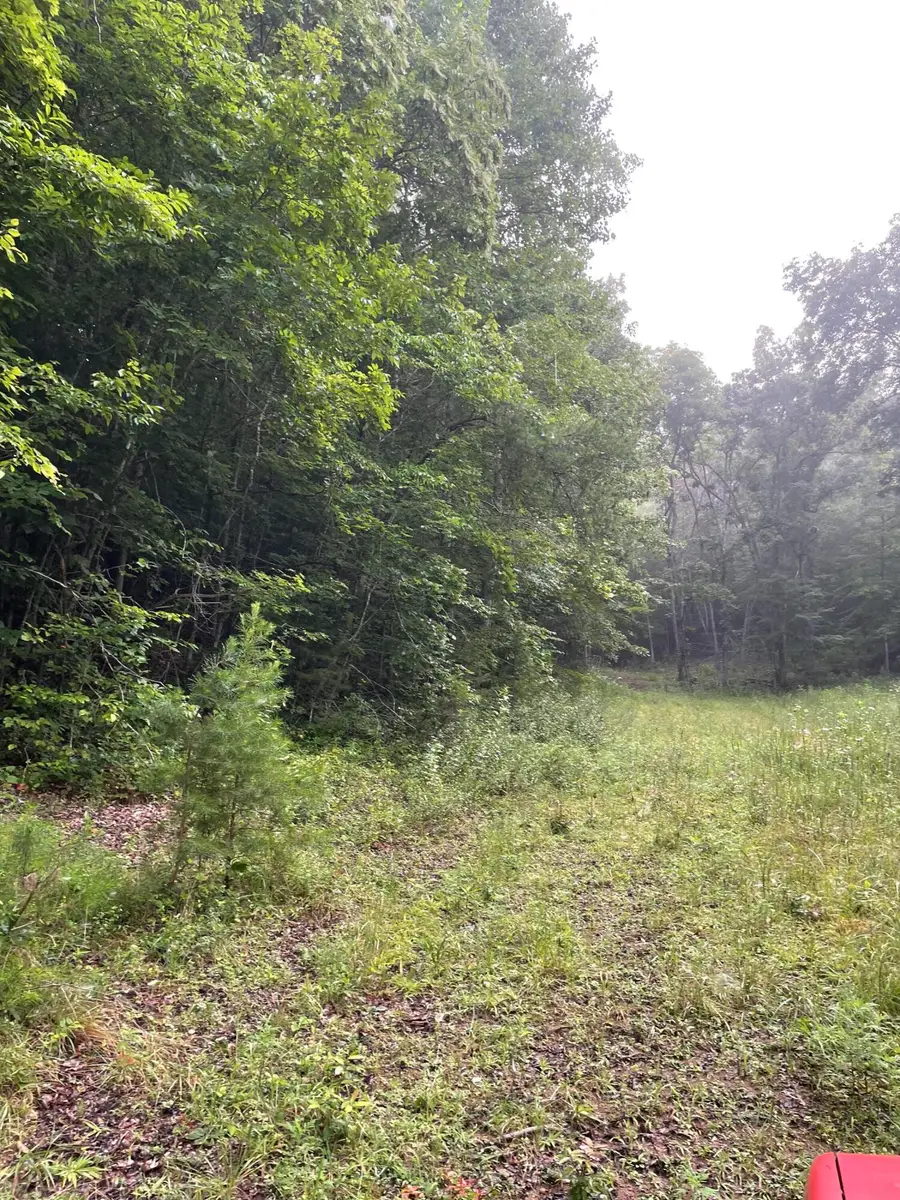 TBD Bullen Valley Road, Thorn Hill, TN 37881 - #3