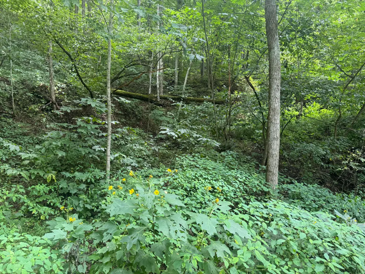 00 Horsepen Road, Sevierville, TN 37876 - #1