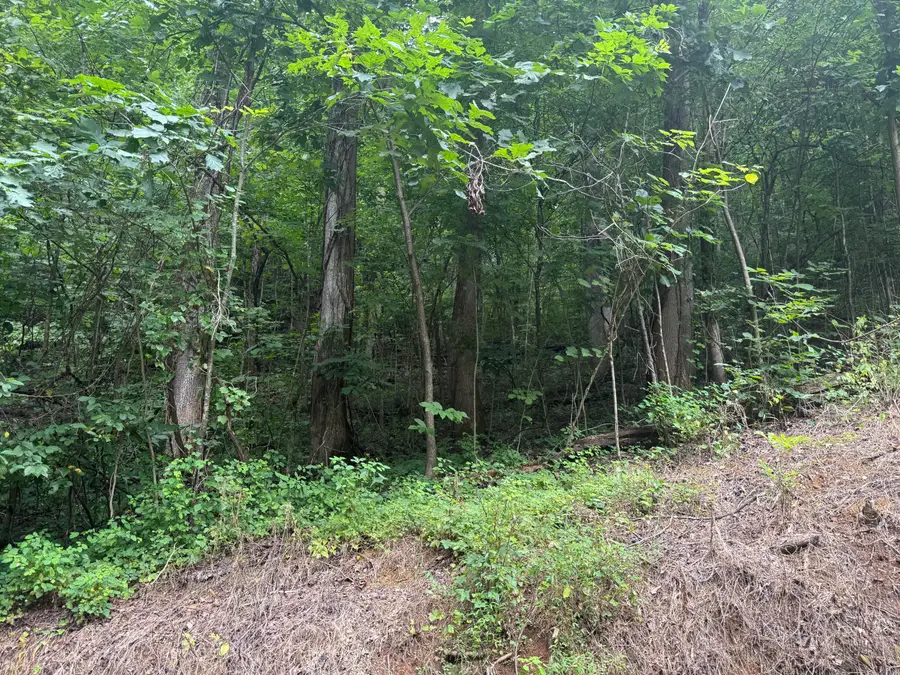 00 Horsepen Road, Sevierville, TN 37876 - #2