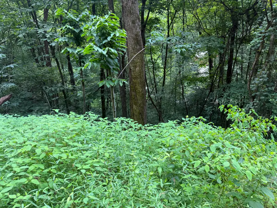 00 Horsepen Road, Sevierville, TN 37876 - #3