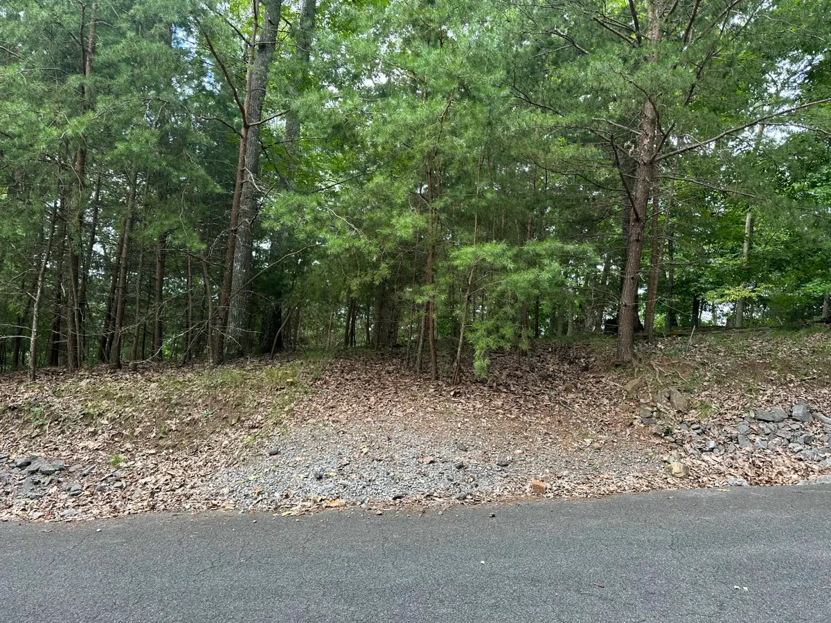607 Lakeview Drive, Mooresburg, TN 37811 - #1