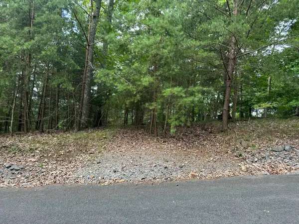 607 Lakeview Drive, Mooresburg, TN 37811