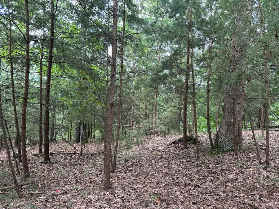 607 Lakeview Drive, Mooresburg, TN 37811 - #3