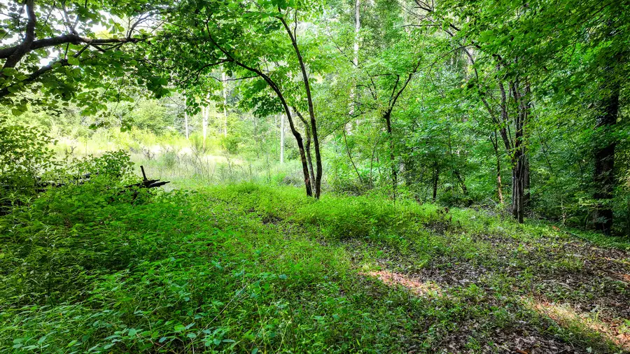 985 Highway 31, Mooresburg, TN 37811 - #3