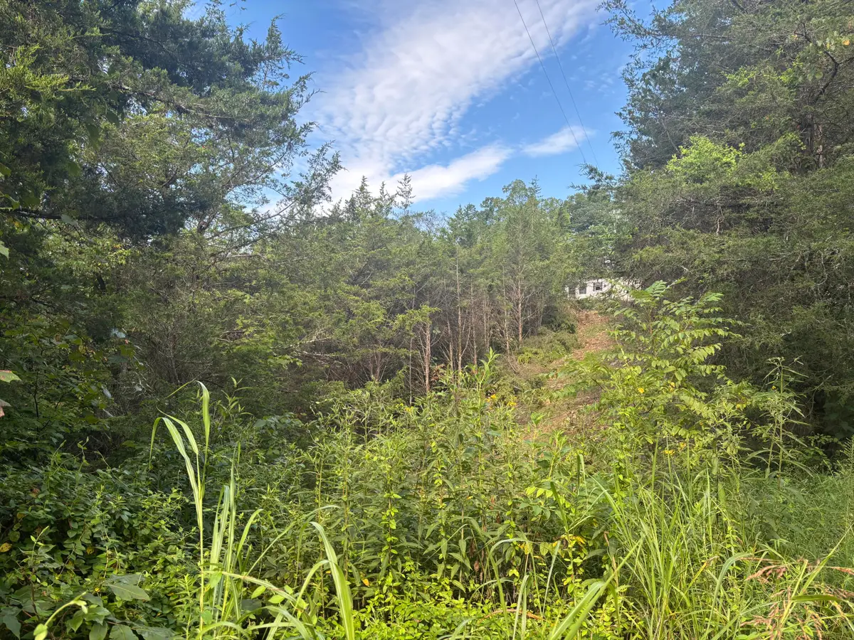 2854 Mountain Road, Whitesburg, TN 37891 - #1