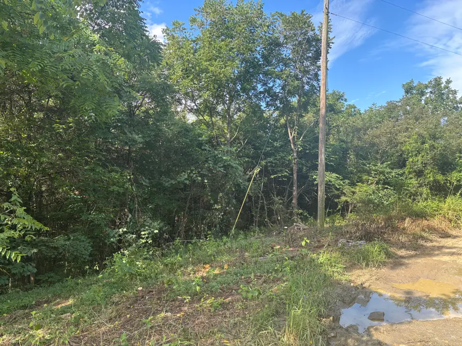 2854 Mountain Road, Whitesburg, TN 37891 - #3