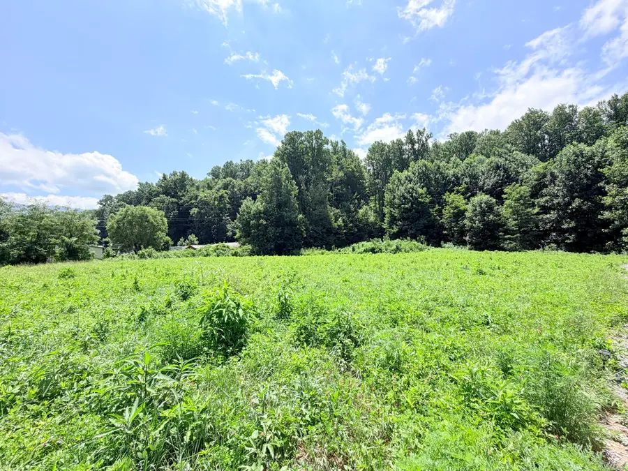 187 Tennessee 32, Cosby, TN 37722 - #3