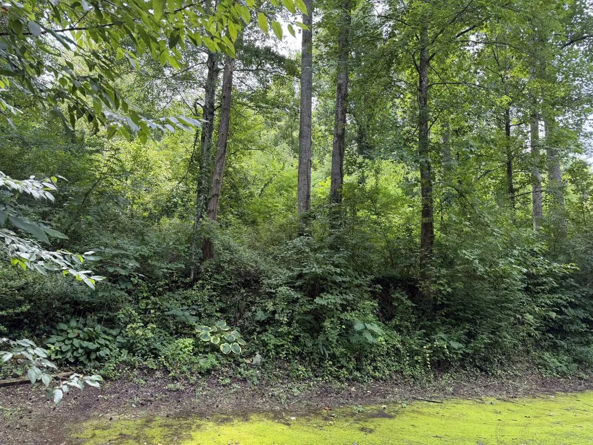 315 Hilltop Road, Gatlinburg, TN 37738 - #1