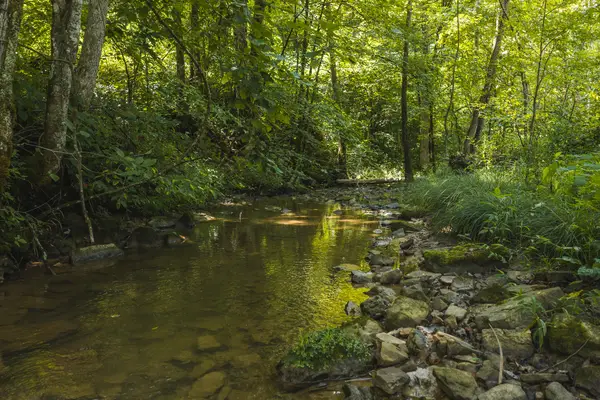 0000 Snake Hollow (162.33 Acres) Road, Sneedville, TN 37869