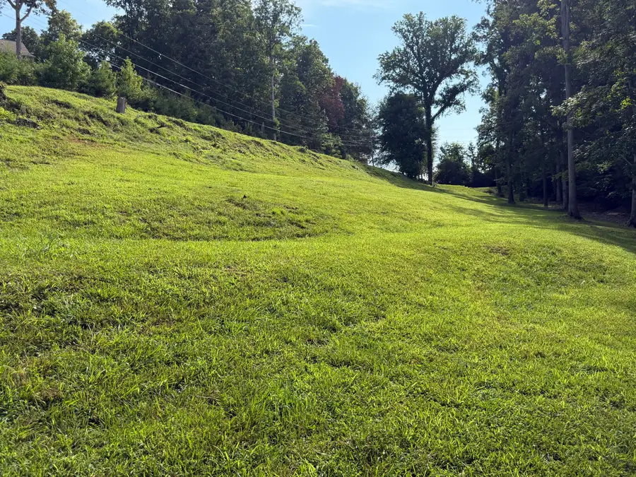 534 Bonnevista Drive, Baneberry, TN 37890 - #3