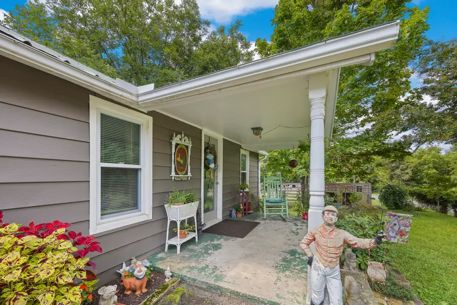 3621 Leadvale Road, White Pine, TN 37890 - #2