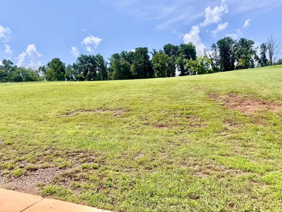 Lot 299 Inlet Cove, Morristown, TN 37814 - #3