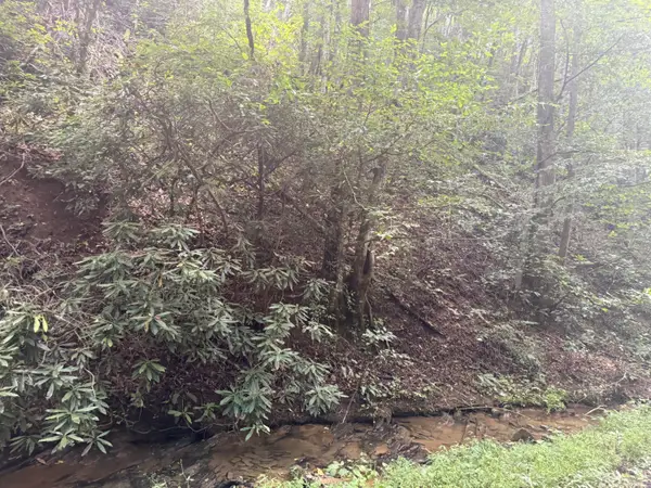 4264 Blalock Hollow Road, Pigeon Forge, TN 37876