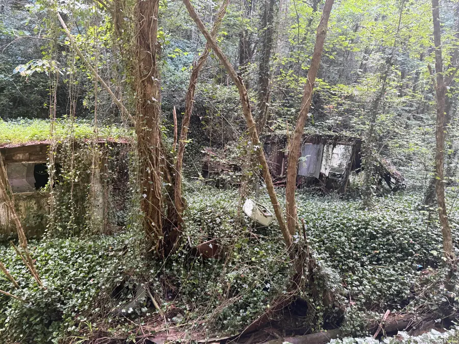 4264 Blalock Hollow Road, Pigeon Forge, TN 37876 - #2