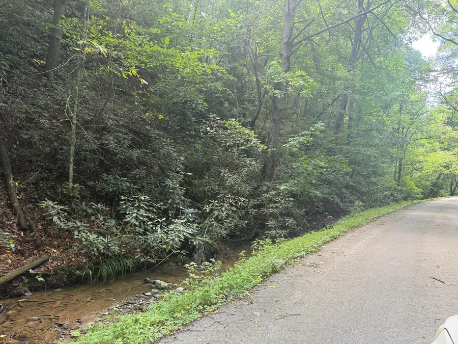 4264 Blalock Hollow Road, Pigeon Forge, TN 37876 - #3