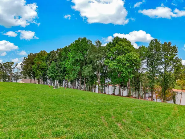 Lot 41 English Mountain, White Pine, TN 37890