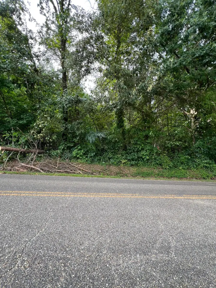 Lot 1 Cameron Road, Morristown, TN 37814 - #2