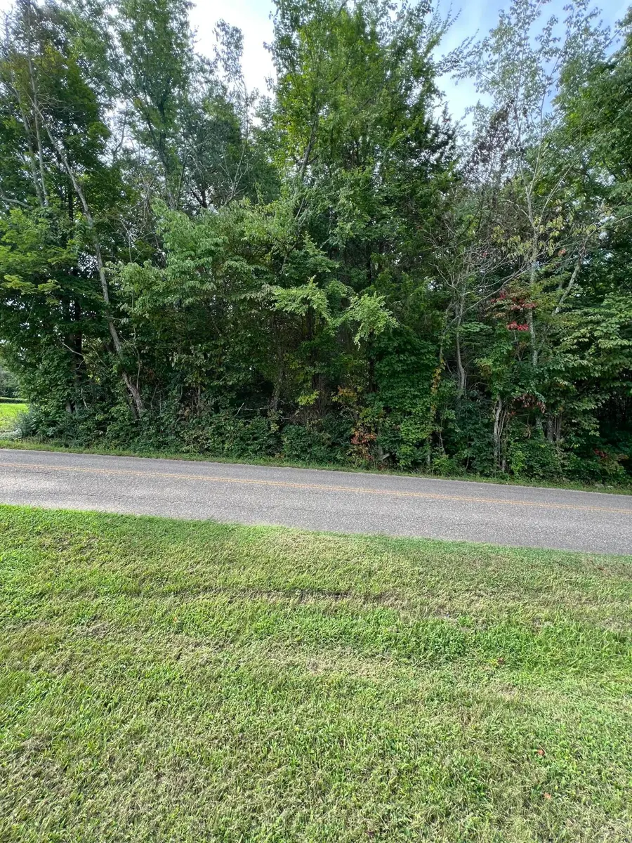 Lot 3 Cameron Road, Morristown, TN 37814 - #2