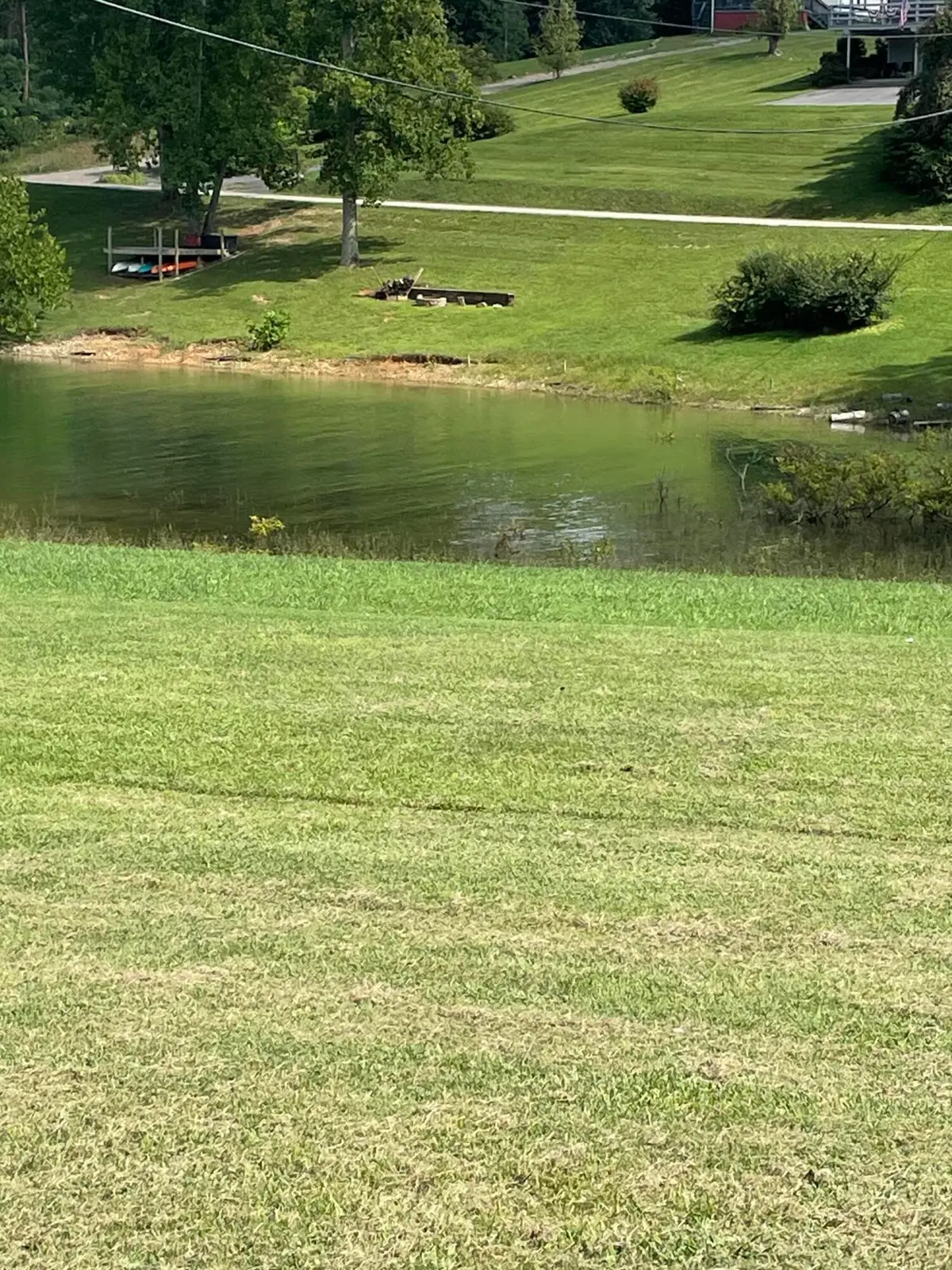 442 Noe Road, Bean Station, TN 37708 - #1
