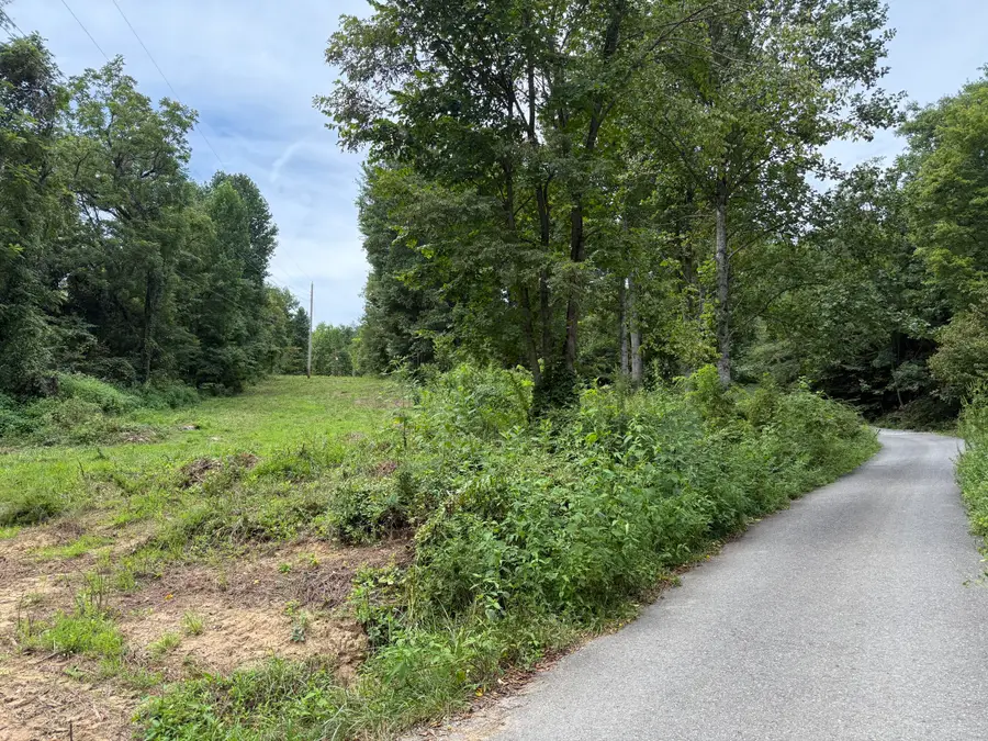 947-999 Yellow Springs Road, Cosby, TN 37722 - #2