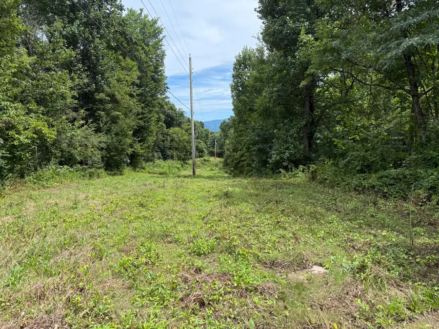 947-999 Yellow Springs Road, Cosby, TN 37722 - #3