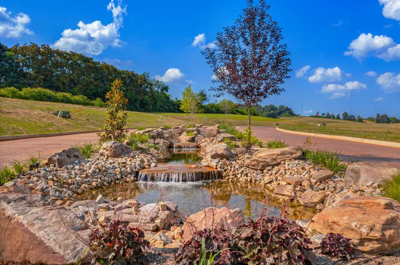 Lot 67 Meadow Rose Drive, White Pine, TN 37890 - #2