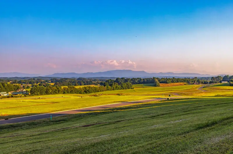 Lot 67 Meadow Rose Drive, White Pine, TN 37890 - #3