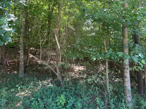 00 Rock Hill Road, Newport, TN 37821