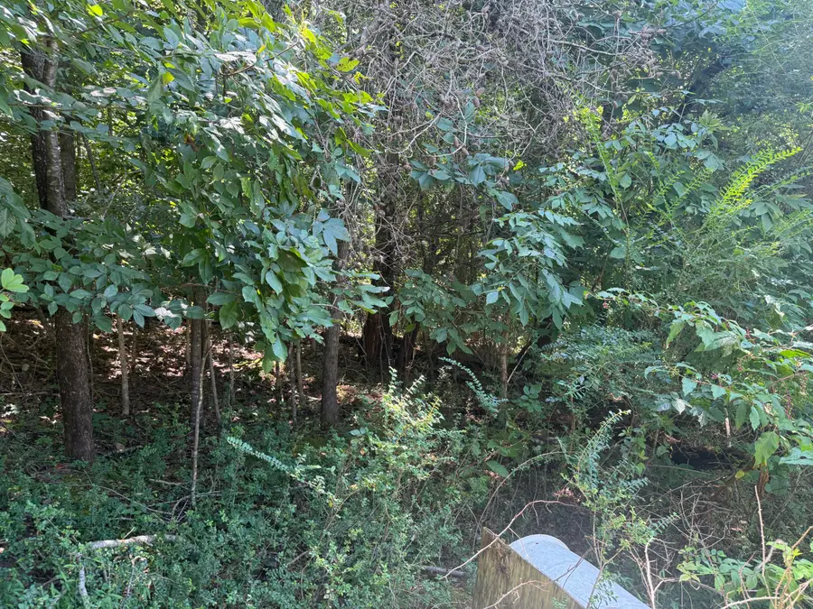 00 Rock Hill Road, Newport, TN 37821 - #2