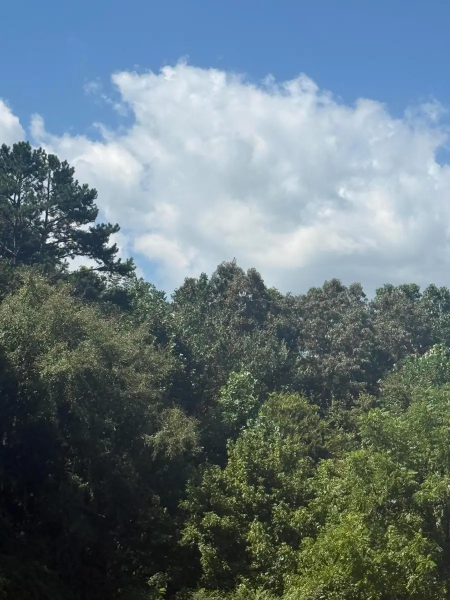 00 Rock Hill Road, Newport, TN 37821 - #3