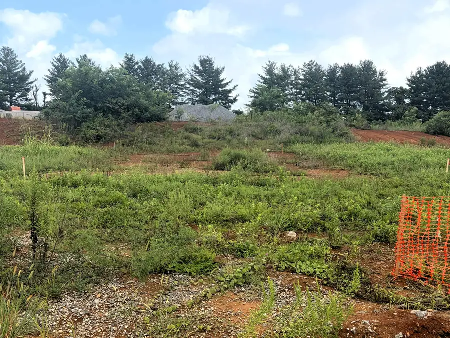 5078 Runnerstone Road, Morristown, TN 37813 - #3