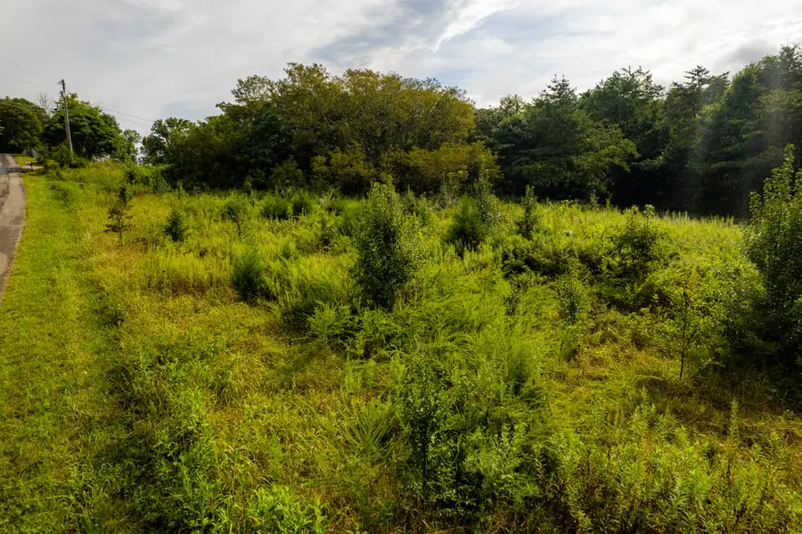 000 Tolliver Road, New Market, TN 37820 - #3