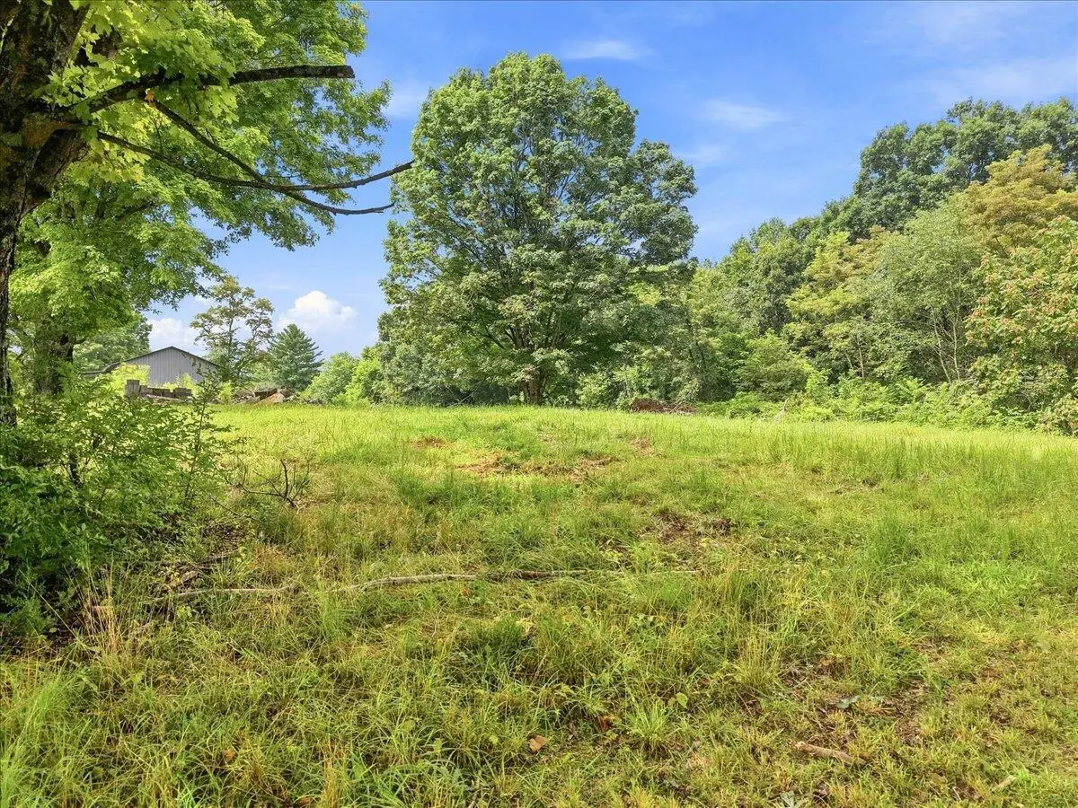 1393 Shannons Little Mtn Road, Morristown, TN 37814 - #1