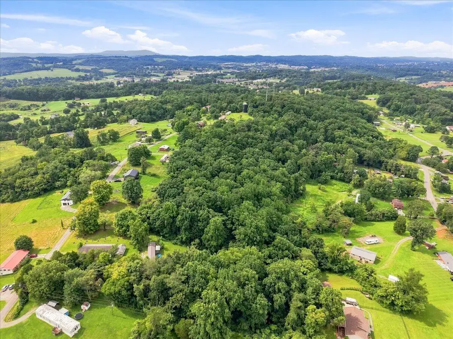 1393 Shannons Little Mtn Road, Morristown, TN 37814 - #3