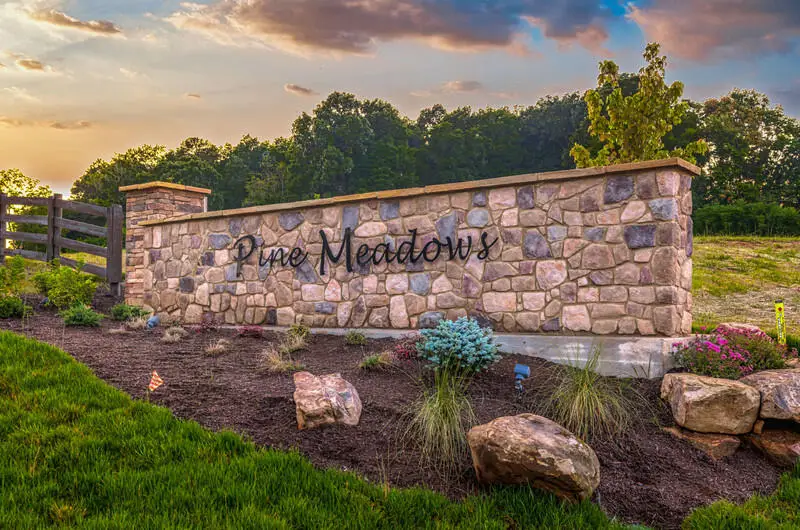 Lot 01 Pine Meadows Drive, White Pine, TN 37890 - #2