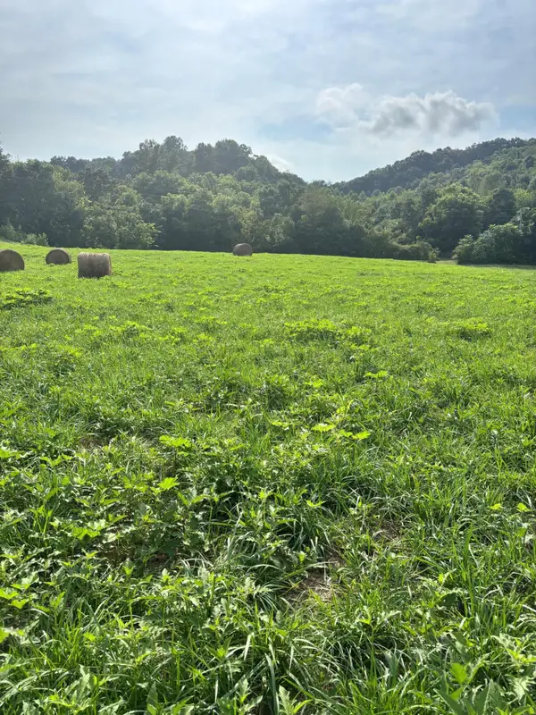 Lot 1 Mcbride Road, Morristown, TN 37814