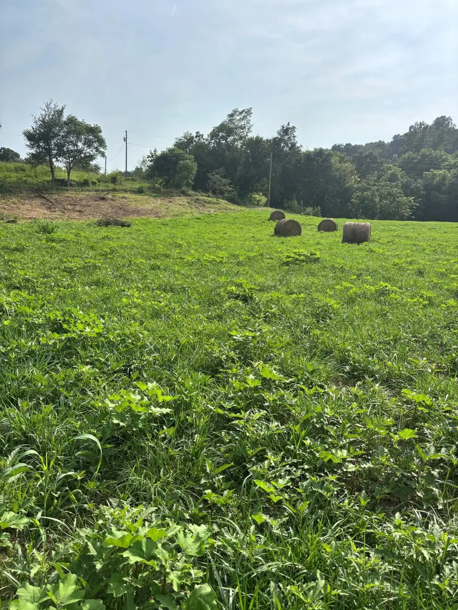 Lot 1 Mcbride Road, Morristown, TN 37814 - #2