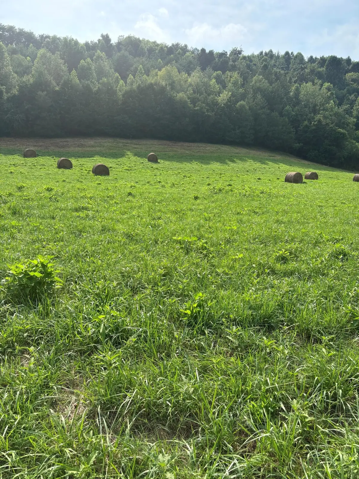 lot 2 Mcbride Road, Morristown, TN 37814 - #1