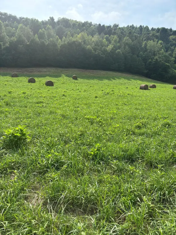 lot 2 Mcbride Road, Morristown, TN 37814