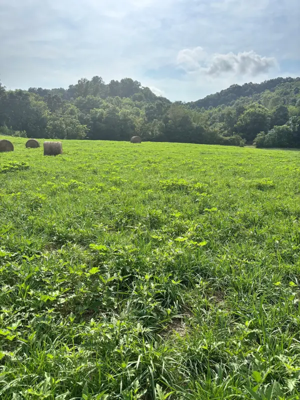 Lot 3 Mcbride Road, Morristown, TN 37814
