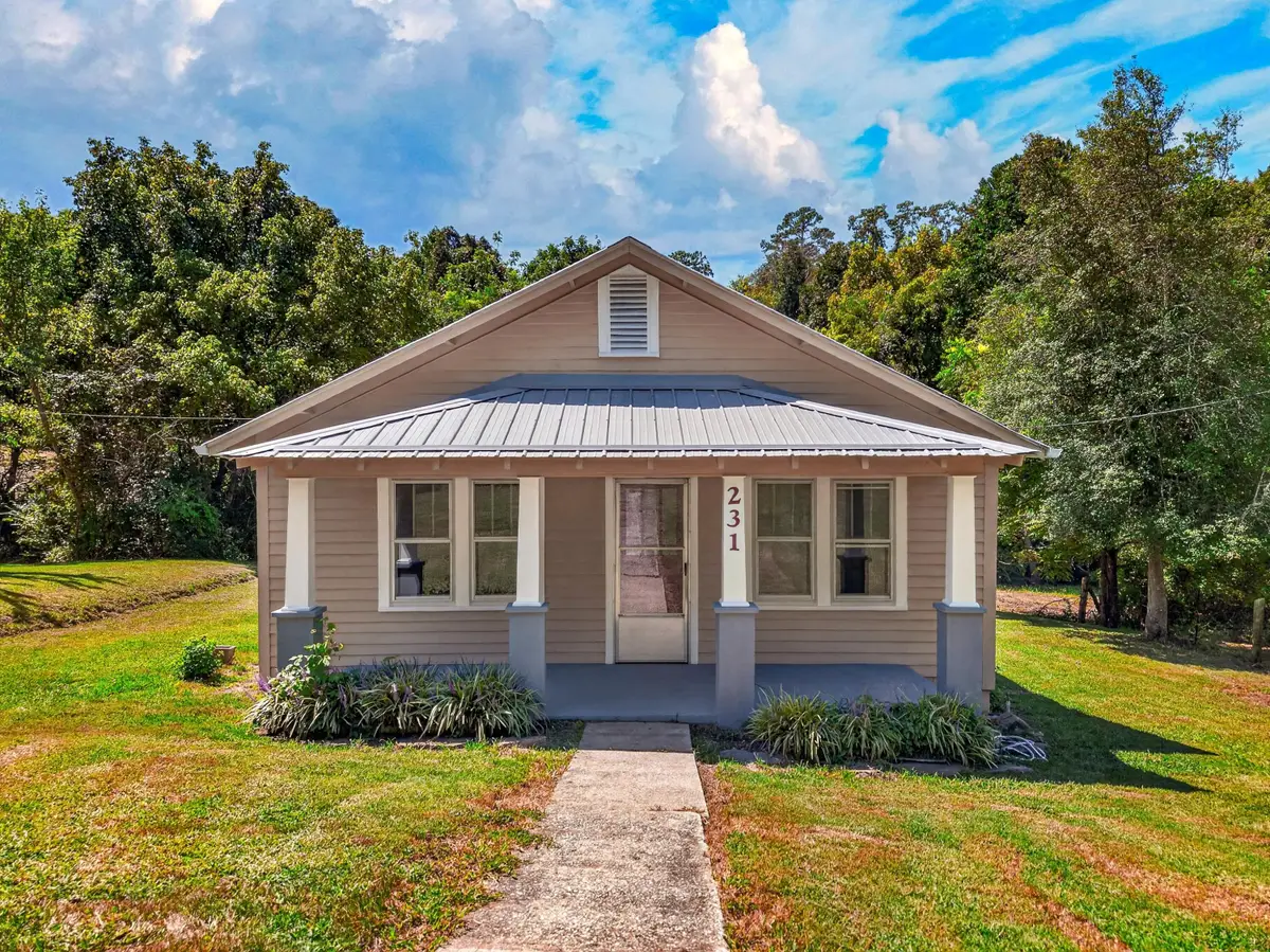 231 N White Pine Road, Talbott, TN 37877 - #1