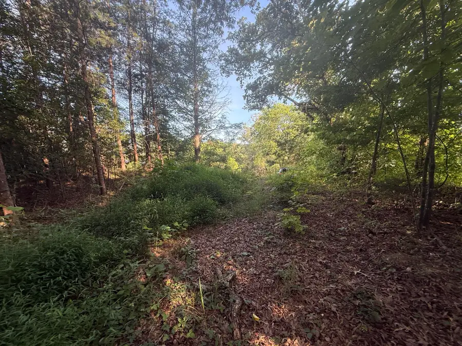 Lots 9-10 Clear View, Newport, TN 37821 - #2