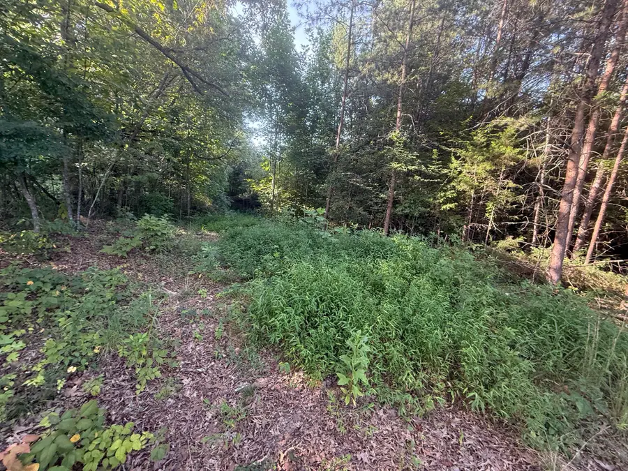 Lots 9-10 Clear View, Newport, TN 37821 - #3