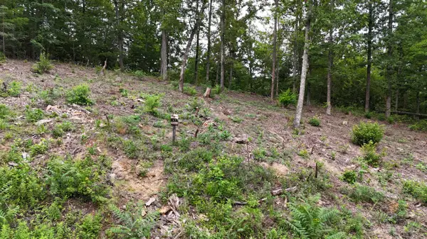 Lot 42 Bayside, Bean Station, TN 37708