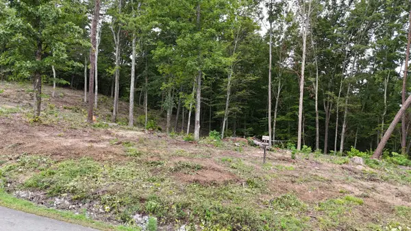 Lot 45 Bayside Boulevard, Bean Station, TN 37708