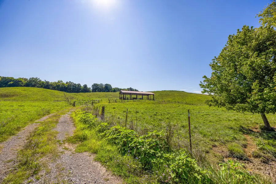 51 and 52 Deerwood Drive, Dandridge, TN 37725 - #2
